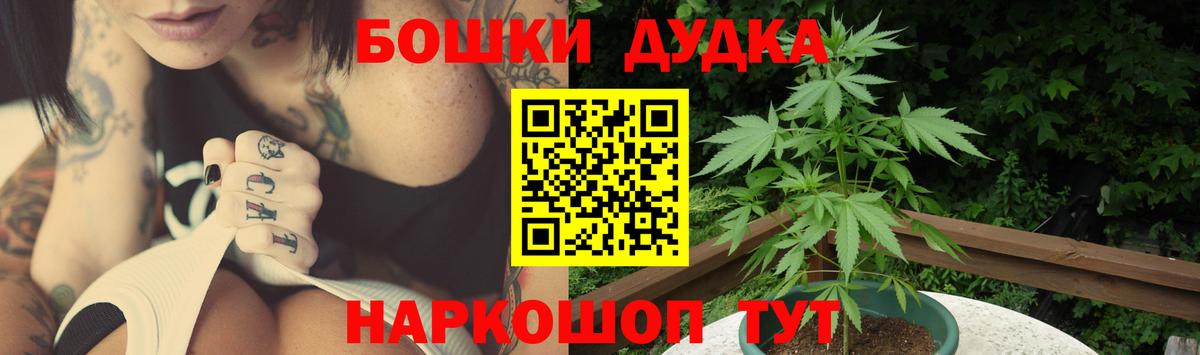 Бошки Шишки сатива  Бошки марихуана семена  Вход с VPN  Зима  Бошки марихуана гибрид 